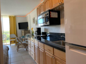 Your Little Piece of Paradise Pool, BBQ & Wifi at Inn on the Park 613